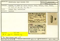 Karteikarte zum Holotyp von Textilaria hayi Karrer, 1864